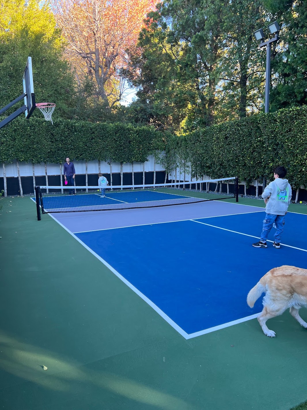 Aerial view of friends playing on a backyard pickleball court